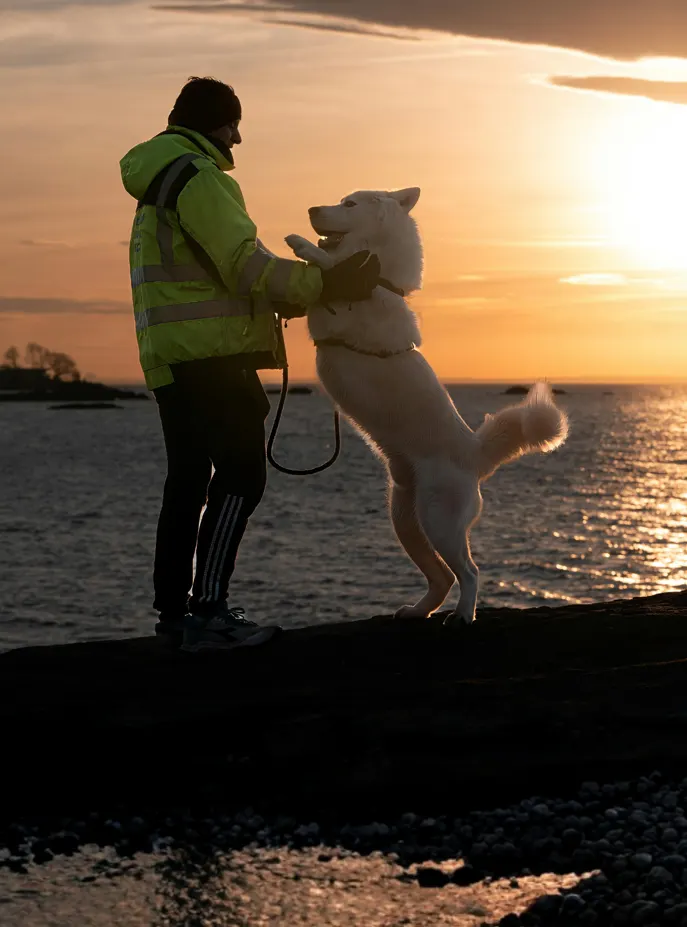 Emotional Connection